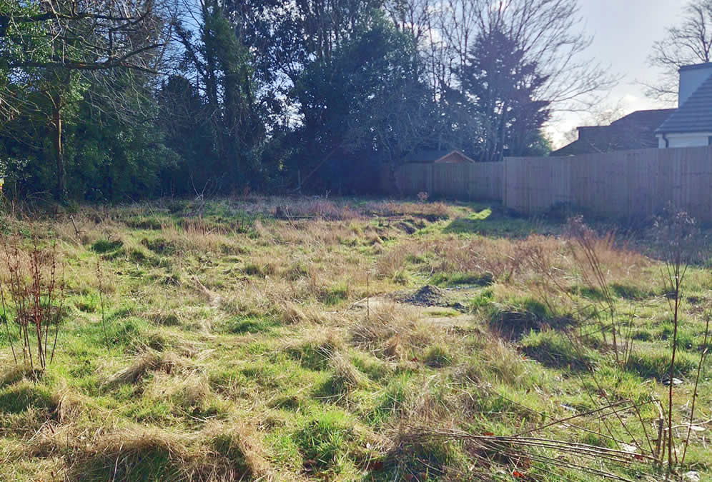 Thornton Hough plot
